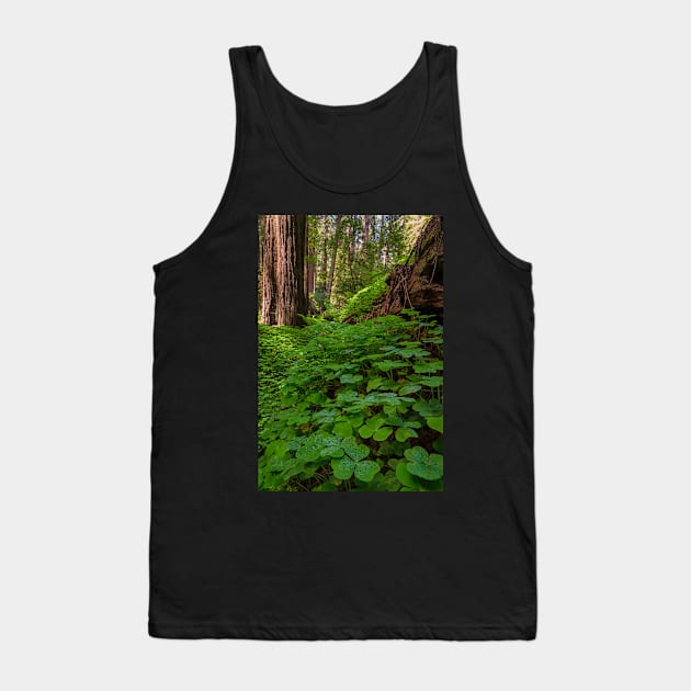 Redwood Sorrel in the Forest Tank Top by JeffreySchwartz